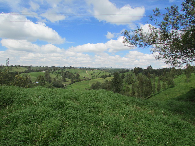 Vista del verde del campo en Entrerríos, Antioquia