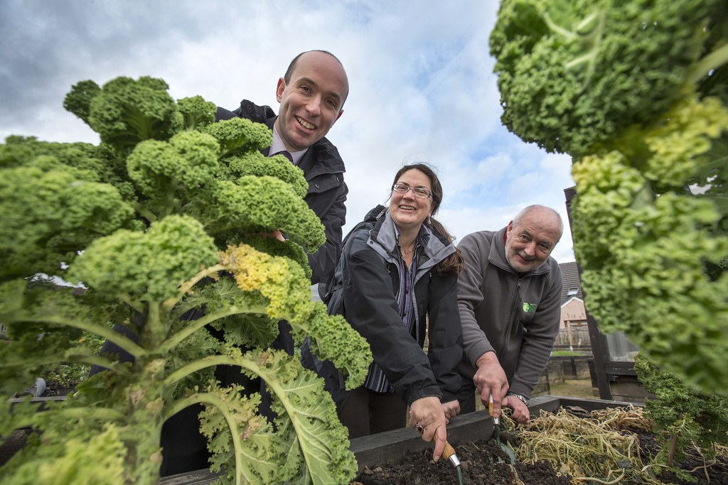 Shettleston Community Growing Project
