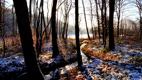 winter sunset sun snow france water forest landscape hiver neige paysage forêt doubs
