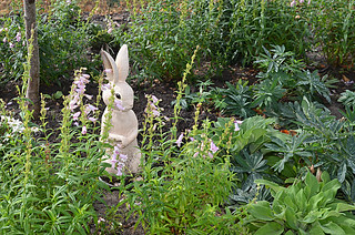 Peter Rabbit Garden figurine | by RiversdaleEstateMedia, Tasmania