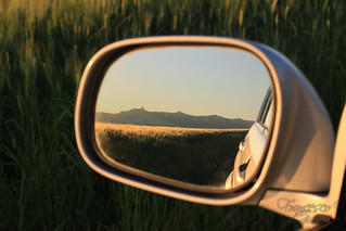 Offroad Landascapes