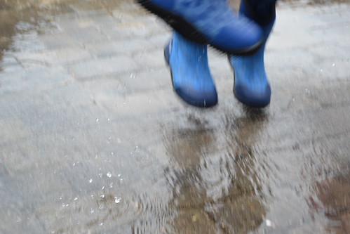 Dock Boot | by Dock Boot