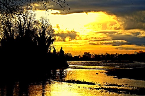 Il mattino ha l'oro in bocca by terziluciano, Questa foto vuole essere un augurio per il nuovo anno a tutti voipiave cimadolmo