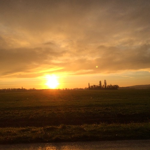 #morning #sky #sun by Arian Noveir, square squareformat iphoneography instagramapp uploaded:by=instagram