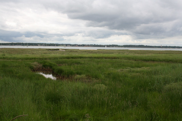 Marshes beside Southampton Water at Hythe