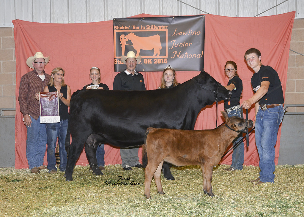 Grand Champion Percentage Cow/Calf Pair: Little Hot Tea, Haleigh Pike, Winchester, KY