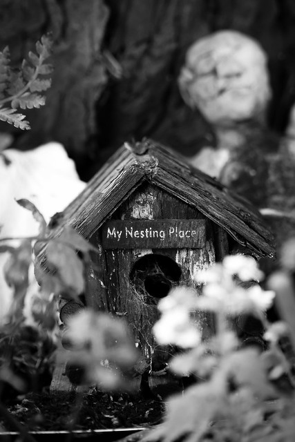 My Nesting Place