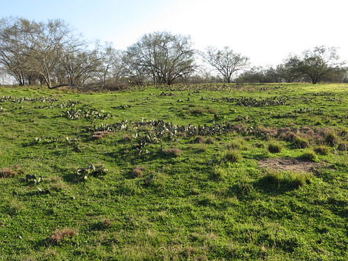 Site of Mission Nuestra Señora del Rosario, Goliad, Texas by Ken Lund, Established 1754 4 miles west of La Bahia to serve various Karankawan tribes.
The mission developed