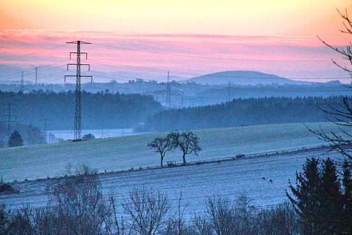 morning cold nature landscape deer mywindowview oberlausitz