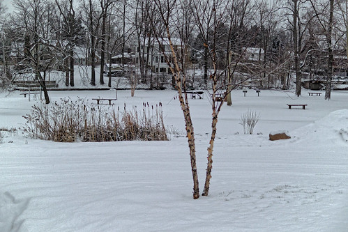 park winter snow tree weather nikon michigan grandriver v2 tallgrass streetview 2015 eatonrapids eatoncounty 1v2 329365 nikon1v2