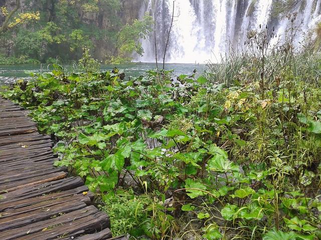 path-to-waterfall