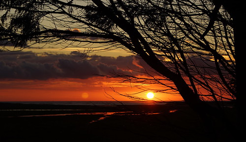 sea england sky orange tree water clouds sunrise lens coast branches sony east alpha 1870mm a77 saltfleet