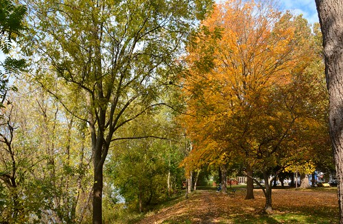street ohio fallcolor fallcolors front autumncolors marietta falllandscape autumnlandscape muskingumpark