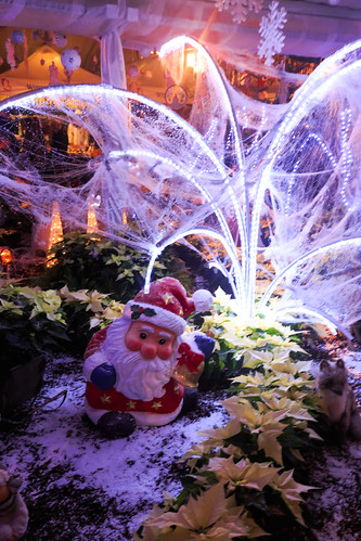 Viel Licht und kleiner Weihnachtsmann by gamiani62, Hat er sich verirrt?wien österreich fspgadvent