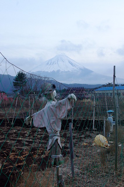 Mt Fuji and scarecrow 富士山
