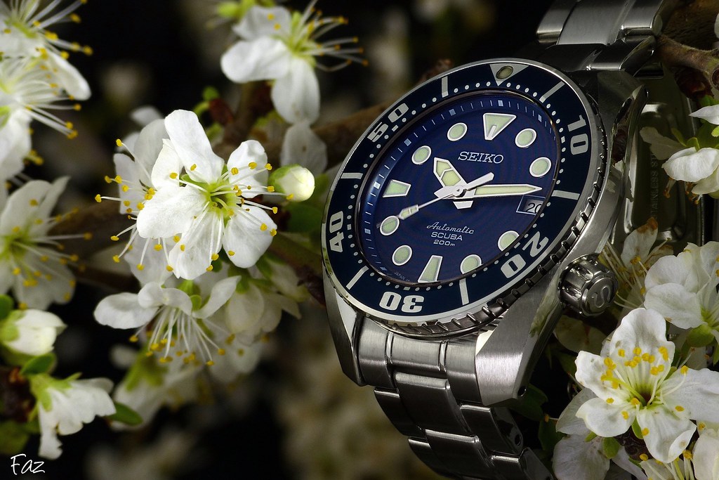 Nouveautés Seiko et Grand Seiko - tome 7 - Page 38 16016998631_cc98fbf96b_b