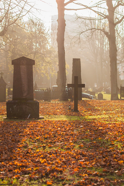 Autumn sunlight at the Stampens cemetery (explored)