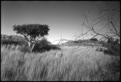 Namibia | by __Daniele__