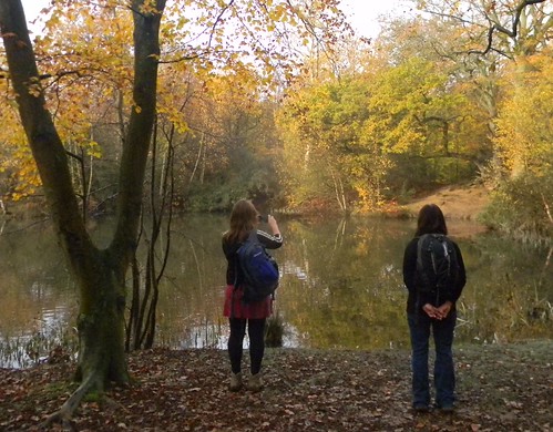 By a tree by a pond Epping Forest, Loughton to Essex