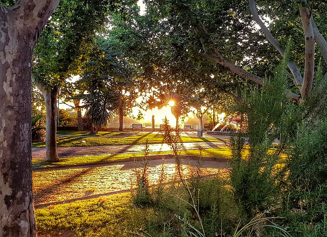 Sun in the Park (Andújar - Jaén)