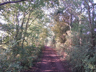 Charity Lane (Track) SWC Walk 159 South Woodham Ferrers to North Fambridge