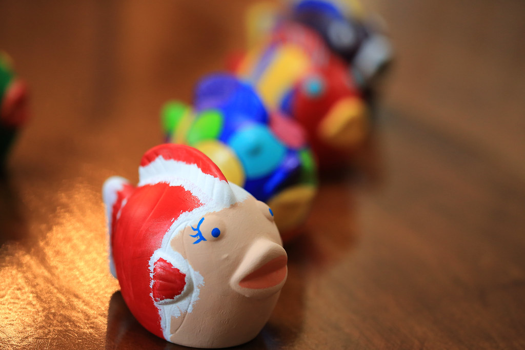 Santa Fish