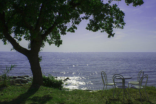 sea view umag istra chair table tree blue green croatia holiday