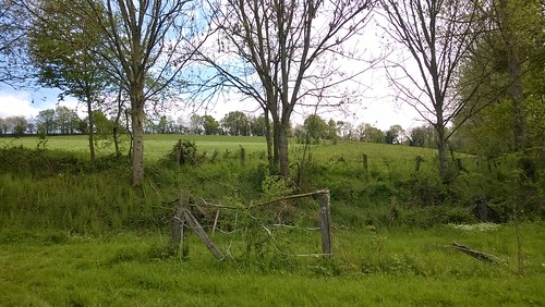 france tree landscape gate normandie paysage arbre calvados barrière maisoncellespelvey