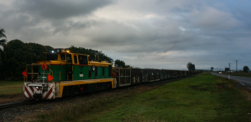 cane train australia sugar queensland