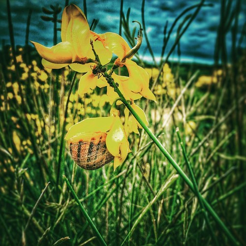 square squareformat juno iphoneography instagramapp uploaded:by=instagram