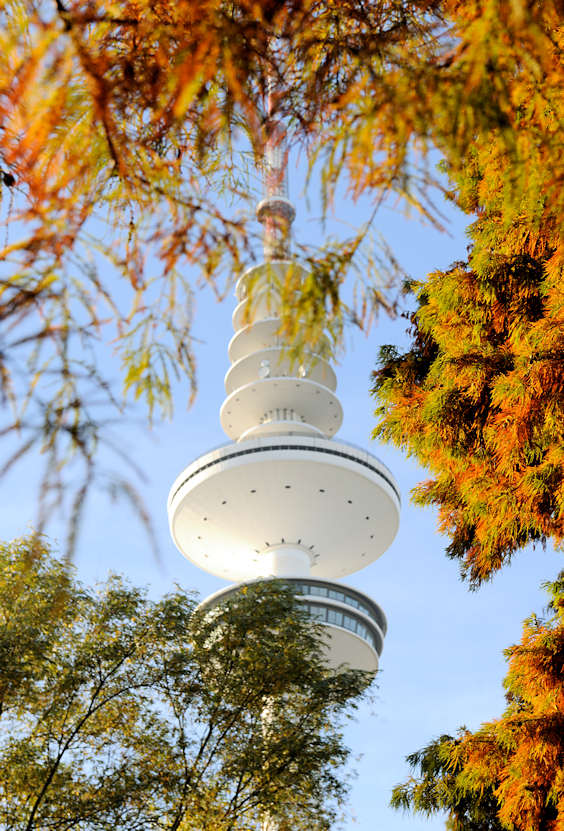 2945 Herbstlich gefärbte Sumpfzypressen in Planten un Blomen - Fernsehturm / Heinrich Hertz Turm in Hamburg.
