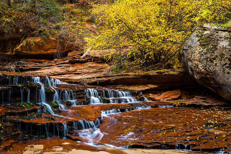 Fall Color Falls