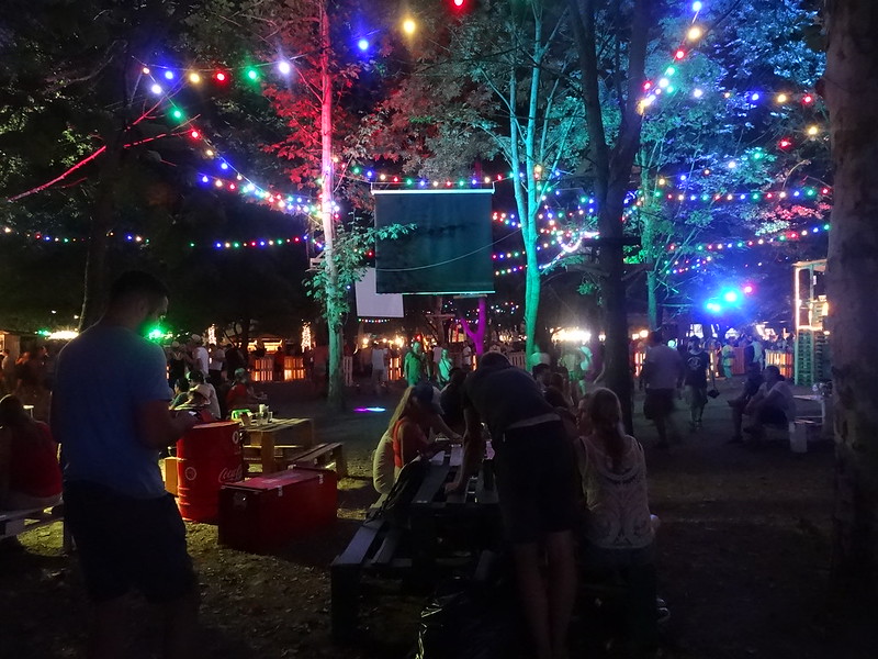 Sziget Festival 2014 in Budapest