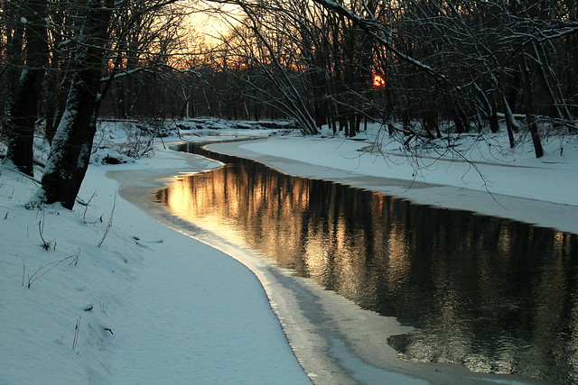 At River Bend Preserve