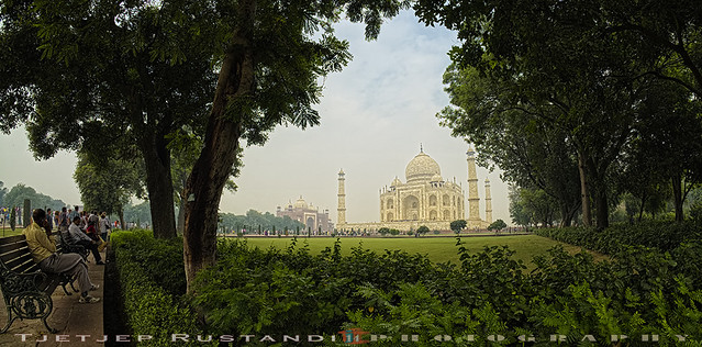 Shady Taj Mahal