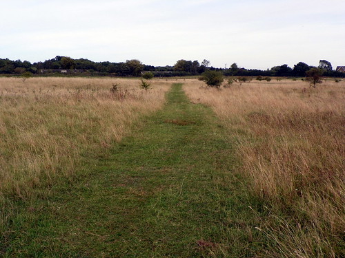 2016 england field grass hertfordshire kodakeasysharez981 landfill landscape meadow nature outdoor sacombe z981 kodak uk