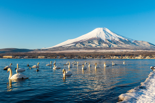 Fuji and Swan Lake
