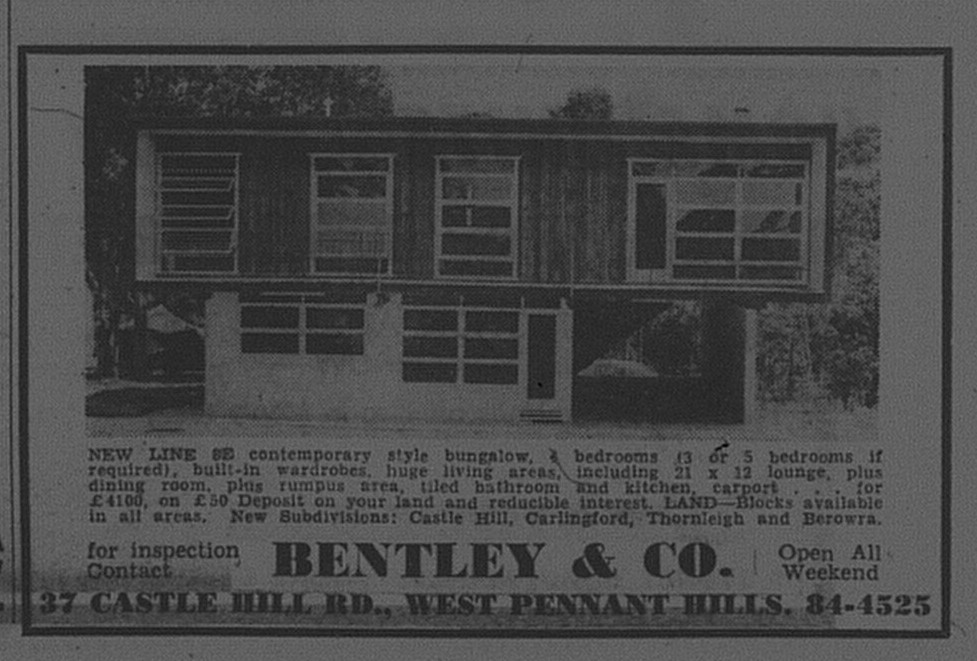 Bentley and Co October 16 1965 daily telegraph 24