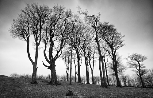 trees landscape blackwhite derbyshire peakdistrict whitepeak roundbarrow minninglow bronzeagesite britnatparks bronzeageburialmound minninglowhill