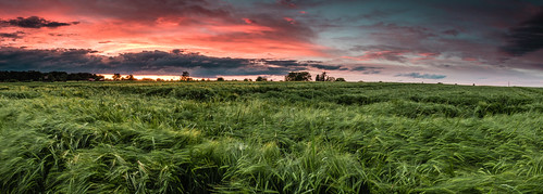 sunset red summer sky tree green field clouds germany landscape corn stuttgart wideangle scene simple panorame gnd ndreverse 84dot5mm