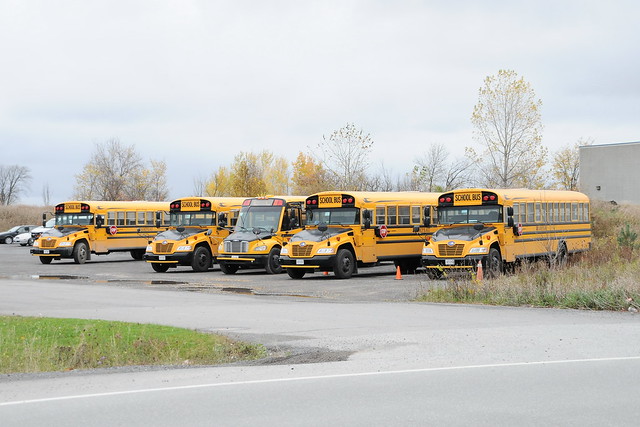 Campeau Bus Lines Blue Bird Vision school buses with a Thomas Freightliner Safe-T-Liner C2 one in the middle Ottawa, Ontario Canada 10182014 ©Ian A. McCord