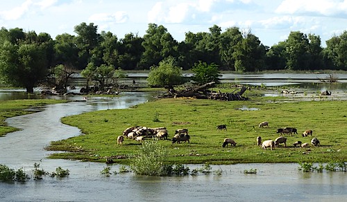 river reserve delta unesco worldheritagesite romania danube donau danubecruise tulcea danubedelta