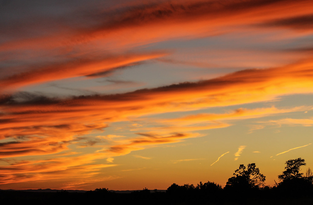 SunDaze | hunterparks16 | Flickr