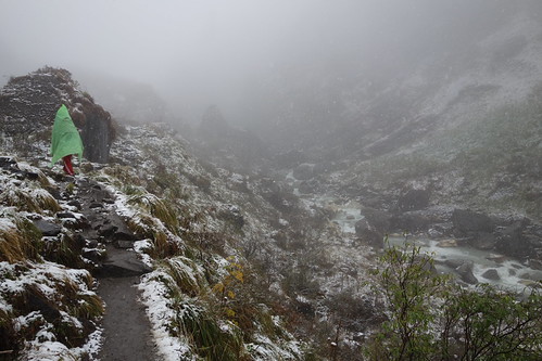 Nepal: Trek to Machhapuchhare Base Camp / Annapurna Base Camp | by dscheronimo