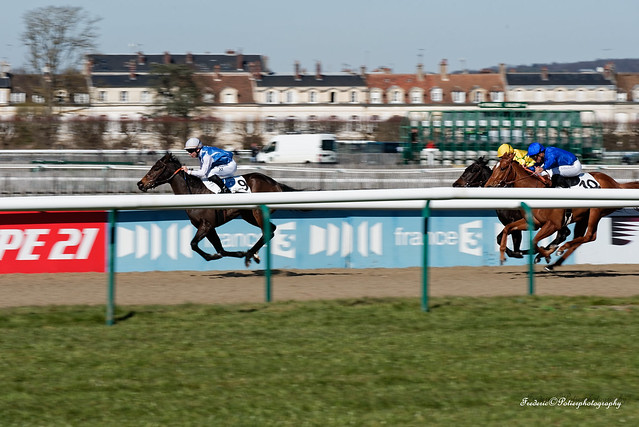 test nikon D750 Horse race in the racecourse of Chantilly in France. I fly towards the victory