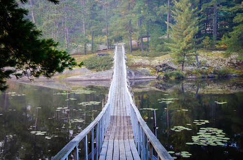 bridge trees lake ontario canada nature fog boat fishing dock hunting nipissing nipissinglake memquisitlodge