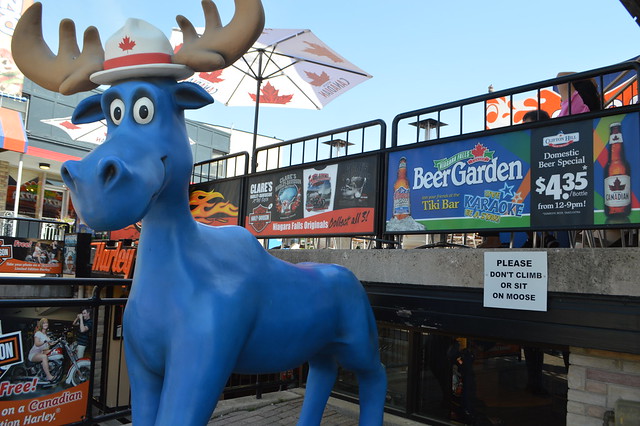 The Blue Moose Trading Co. on Clifton Hill Street in Niagara Falls, Horseshoe Falls, Ontario, Canada