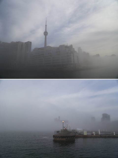 foggy morning at Toronto's Music Garden