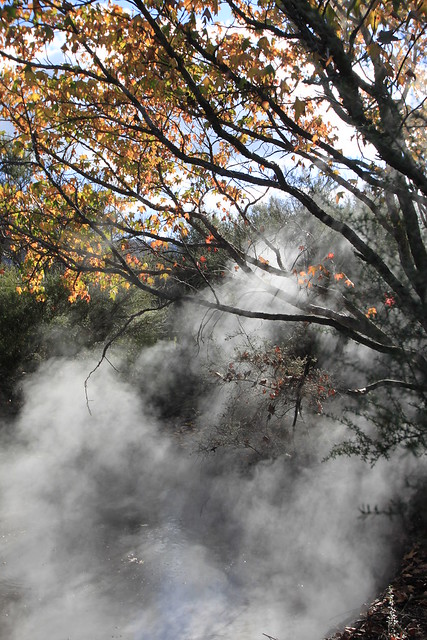 Steaming hot autumn