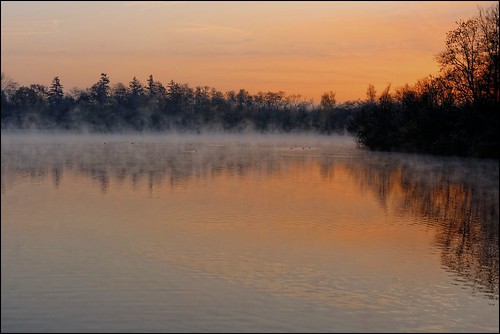 mist nature landscape nikon paysage reflexion reflets brume eaux étangs levéedesoleil d7100 afsdx1685gedvr